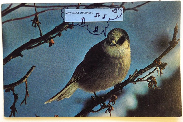 Recycled postcard with image of an American Songbird with added medication sticker for Translation of Bird Song