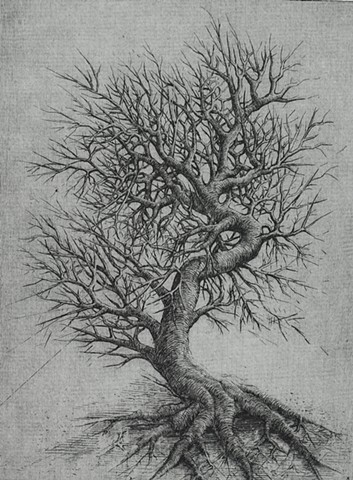 "Penultimate Tree"