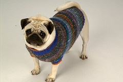 hand made dog sweater