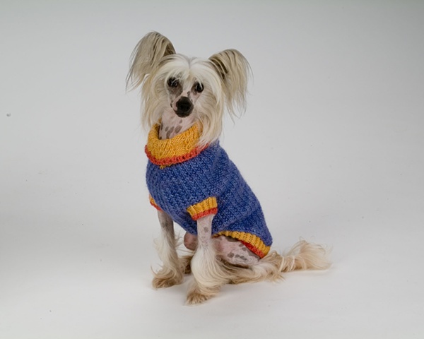 hand made dog sweater