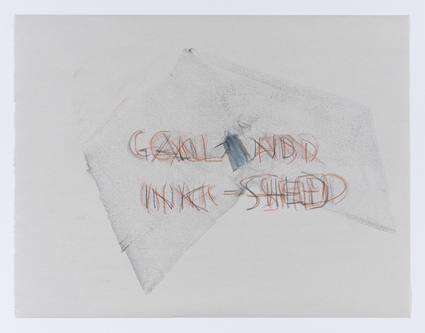 Gall and Ink-Shed 4