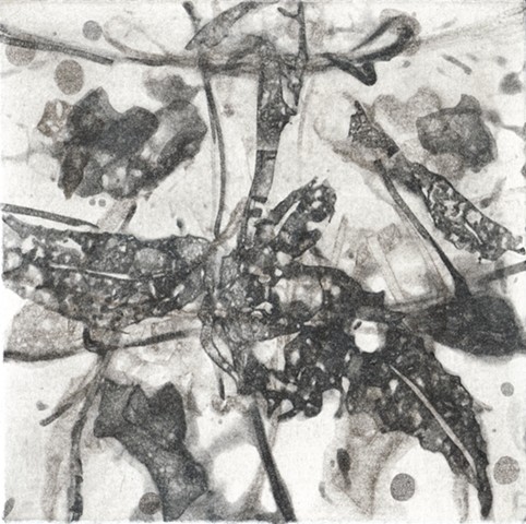 Flowing Decomposition is a 6"x6" intaglio piece; printed in a 2 plate 4 color viscosity technique on rives bfk paper.