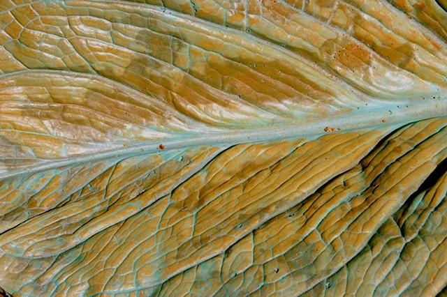 Cast Leaf Detail