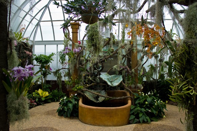 Orchid Range, Orchid Whimsy Greenhouse; Duke Farms