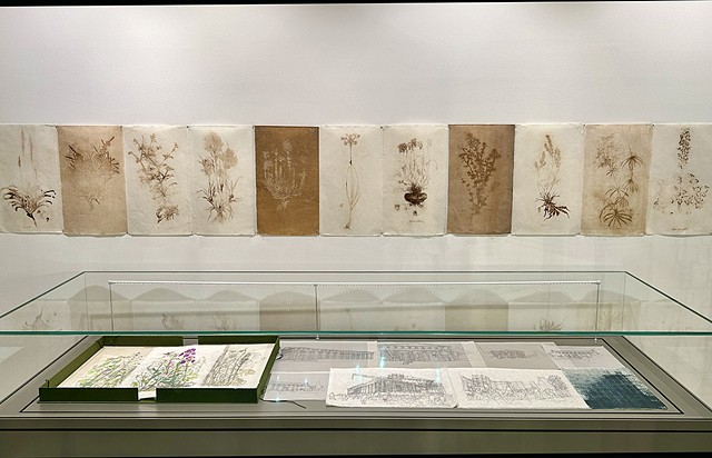 Ghosts of Flora Graeca Installation at the Gennadius Library Athens Greece