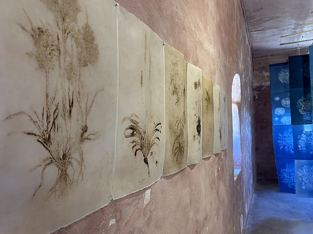 Ghosts of Flora Graeca Installation at the Bazeos Tower, Naxos Island,