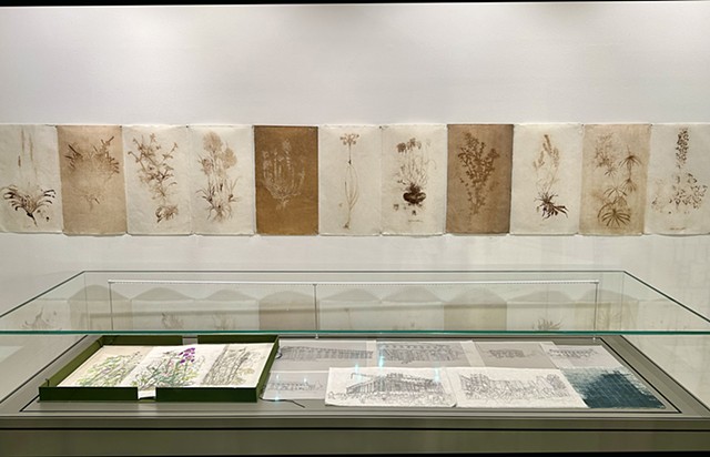 Grosts of Flora Graeca installed at the Gennadius Library exhibition 7 Artists 7 Naratives, Athens Greece