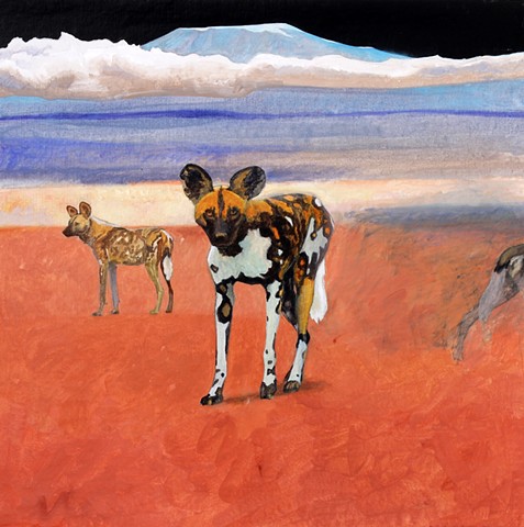 "African Wild Dogs" (766)