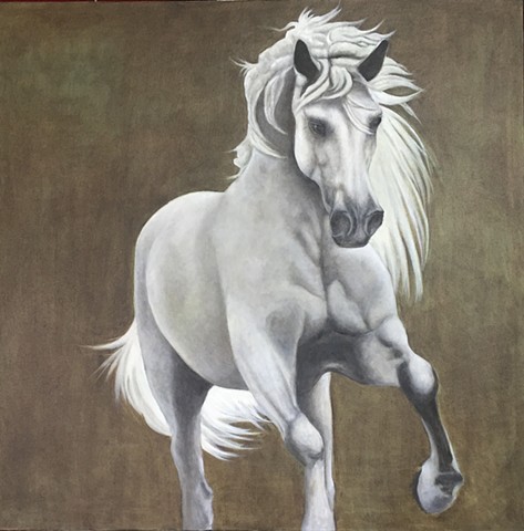 Oil painting of grey horse running by Kandy Stern.