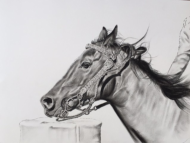Charcoal drawing of bridled horse running by Kandy Stern.