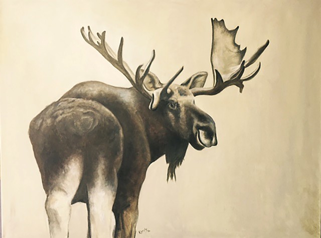 Painting of bull moose by Kandy Stern.