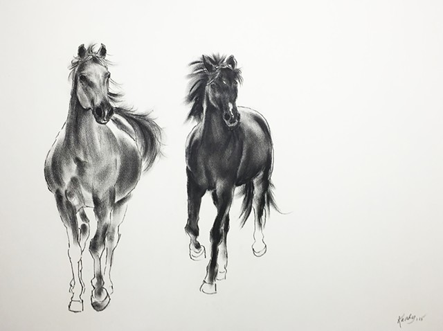Charcoal drawing of two running horses by Kandy Stern.