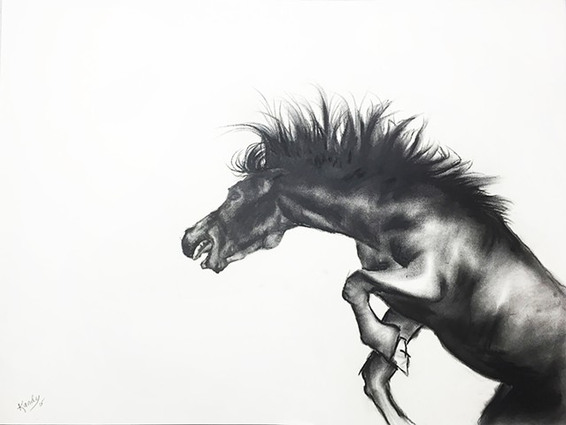 Charcoal drawing of angry horse by Kandy stern.