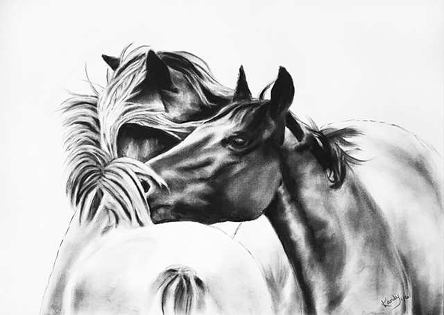Charcoal drawing of two horses grooming by Kandy Stern.