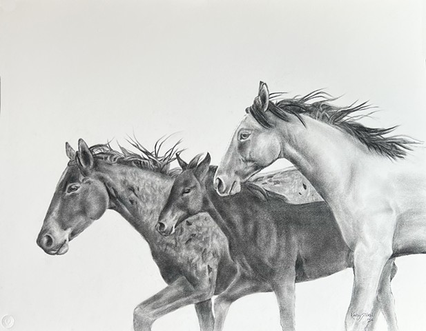 Mustangs 29 x 23 inches