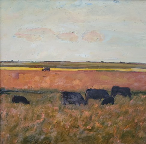 Evening Cows