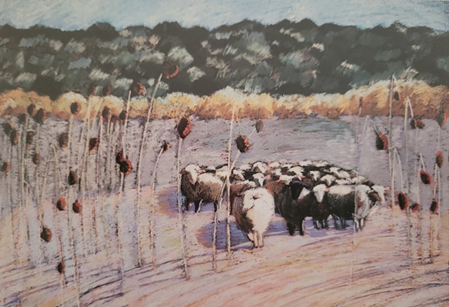 Sheep in the Weeds