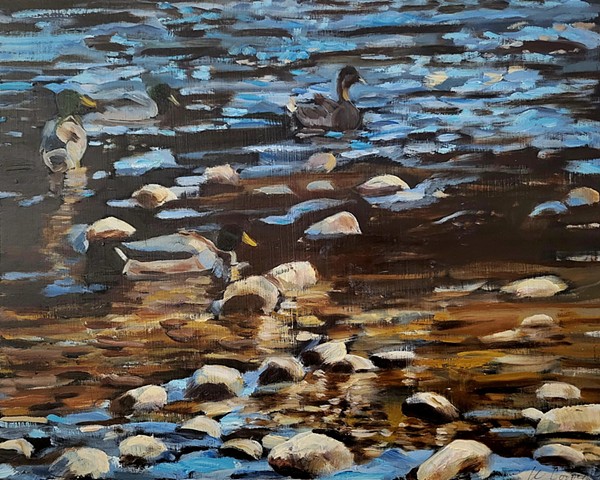 Ducks, Boise River