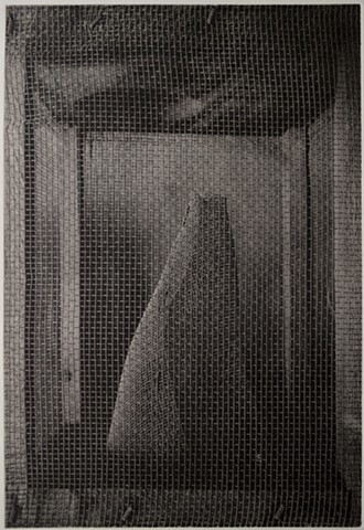 A home-made fly trap made of wood and screen. Polymer photogravure print printed on an intaglio press in one color.