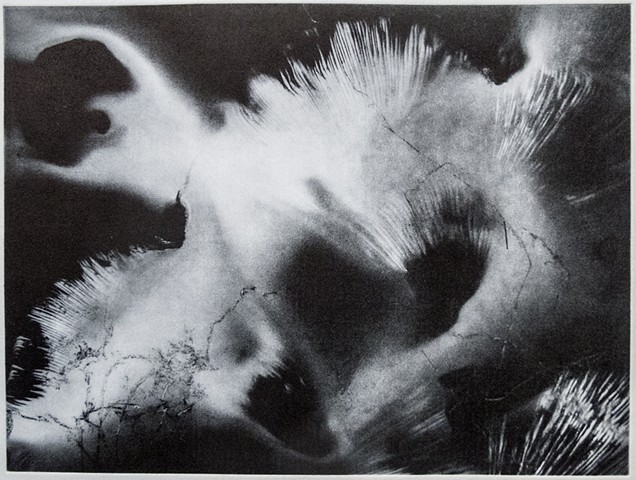Polymer photogravure print "Spore Scape 2" by John Pearson