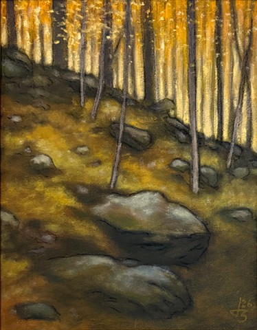 Hillside in the Sun