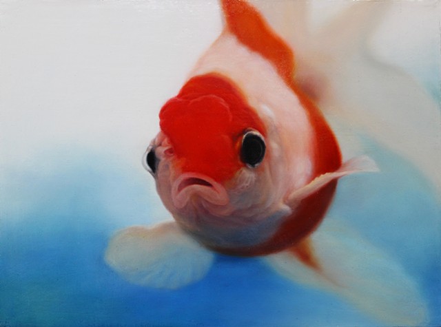 Goldfish(Red Cap)