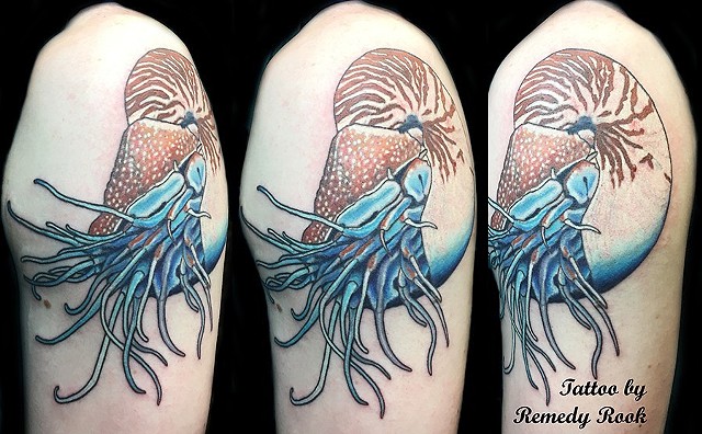 A tattoo of a nautilus floating in nothing.