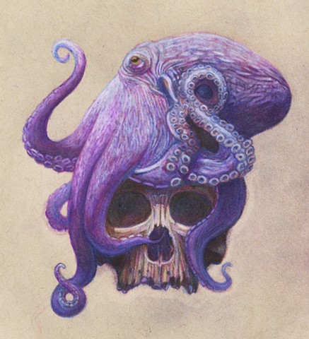 Octopus and skull drawing