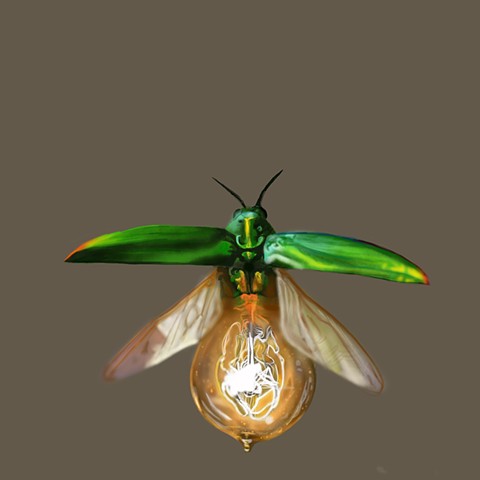 Digital sketch: lightbulb beetle