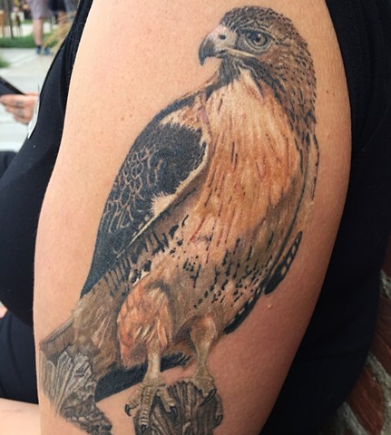 Red tail hawk realism tattoo color realism