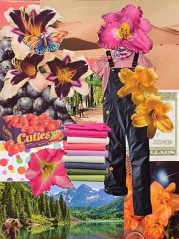 collage on paper desert sand twenty dollar bills lillies brown bears forest water mountains stars by Holly Campbell