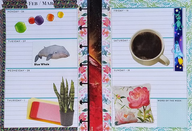 mixed-media collage on paper with a cup of coffee pink flower pillow whale pillow planner pages, snake plant by Holly Campbell