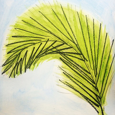 palm frond 2015