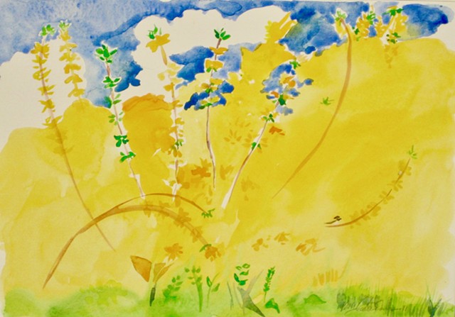 Forsythia Bloom (with chickadee)     
SOLD