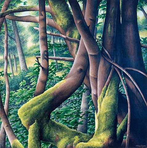 Realistic landscape moss trees acrylic painting Terry Nelson