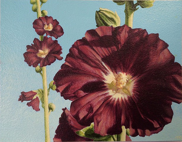 Acrylic painting of close-up of black hollyhock flowers
