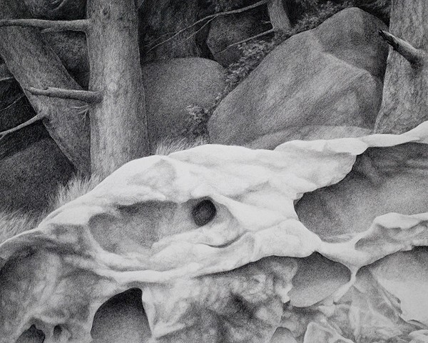 Charcoal drawing of weathered honeycomb sandstone with trees