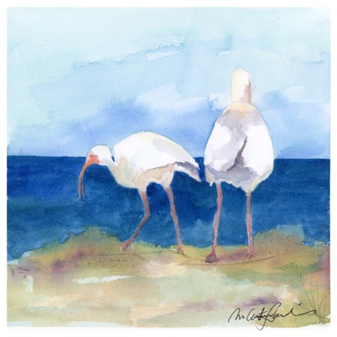 watercolor painting of white ibis birds on the beach by M Christine Landis