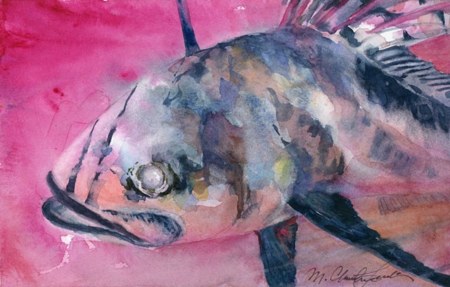 Roosterfish watercolor painting in moody pink and black color scheme by M. Christine Landis