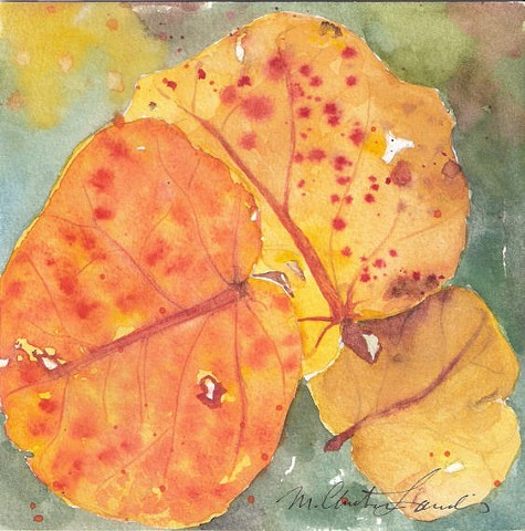 watercolor painting of sea grape leaves in fall color by M Christine Landis
