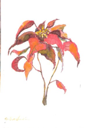 watercolor painting of a sprig of poinsettia flowers by M Christine Landis