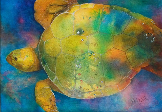 watercolor painting of a loggerhead turtle with some barnacles on his back and swimming underwater by M. Christine Landis