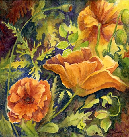 watercolor painting of orange poppies by M Christine Landis