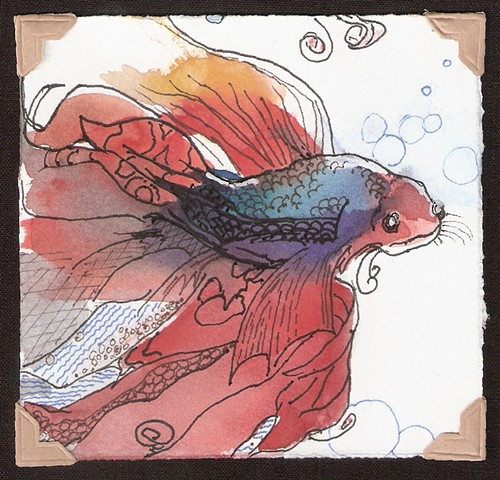 watercolor and ink painting of a red and blue beta fish by M Christine Landis