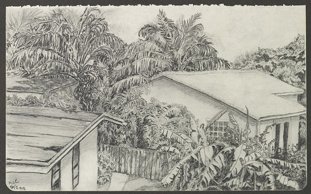 graphite pencil drawing of rooftops and tropical foliage by M Christine Landis