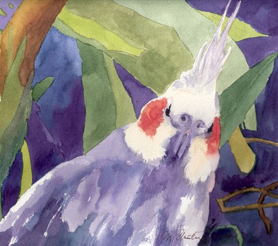 watercolor painting of cockatiel in tropical foliage at Brevard County Zoo by M Christine Landis