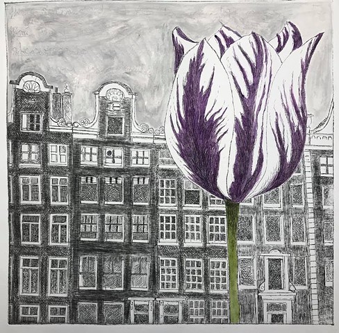 Amsterdam: an etching of canal houses with a large tulip in the foreground, by Carole Winters. 