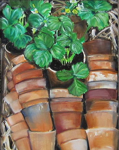 Stacked Clay pots and folliage, terra cotta, 