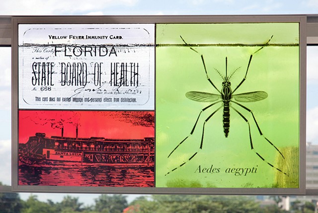 Yellow Fever panel with Immunity Card, Aedes aegypti mosquito, Steamboat Santa Lucia used for quarantine

Photo by Robin Hill