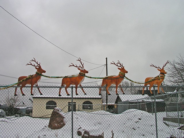 4 Reindeer